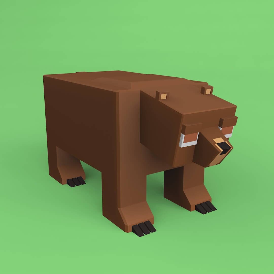 Example picture of the Grizzly Bear species